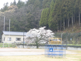 Cimg0544
