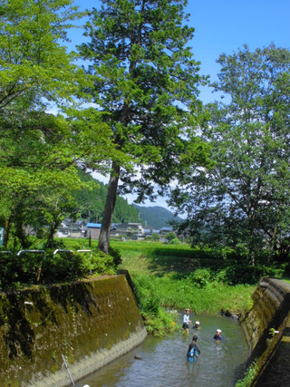 Cimg0929